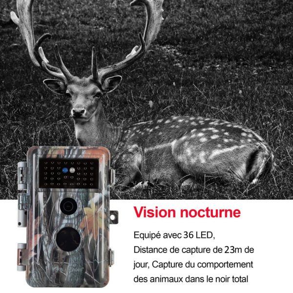 Caméra de Chasse Nocturne Vision 32MP HD 1296P,Détection de Mouvement PIR de 70° Étanche IP66 et Fonction Time Lapse |A252 Sombre Angebot – Bild 4