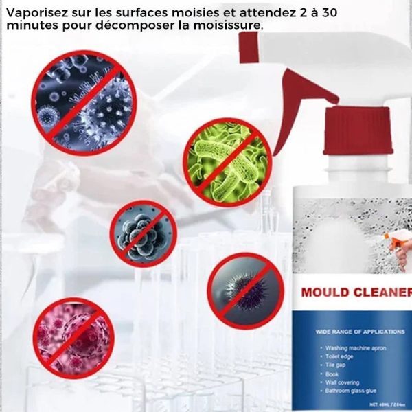 Mousse nettoyante anti-moisissure Verkauf